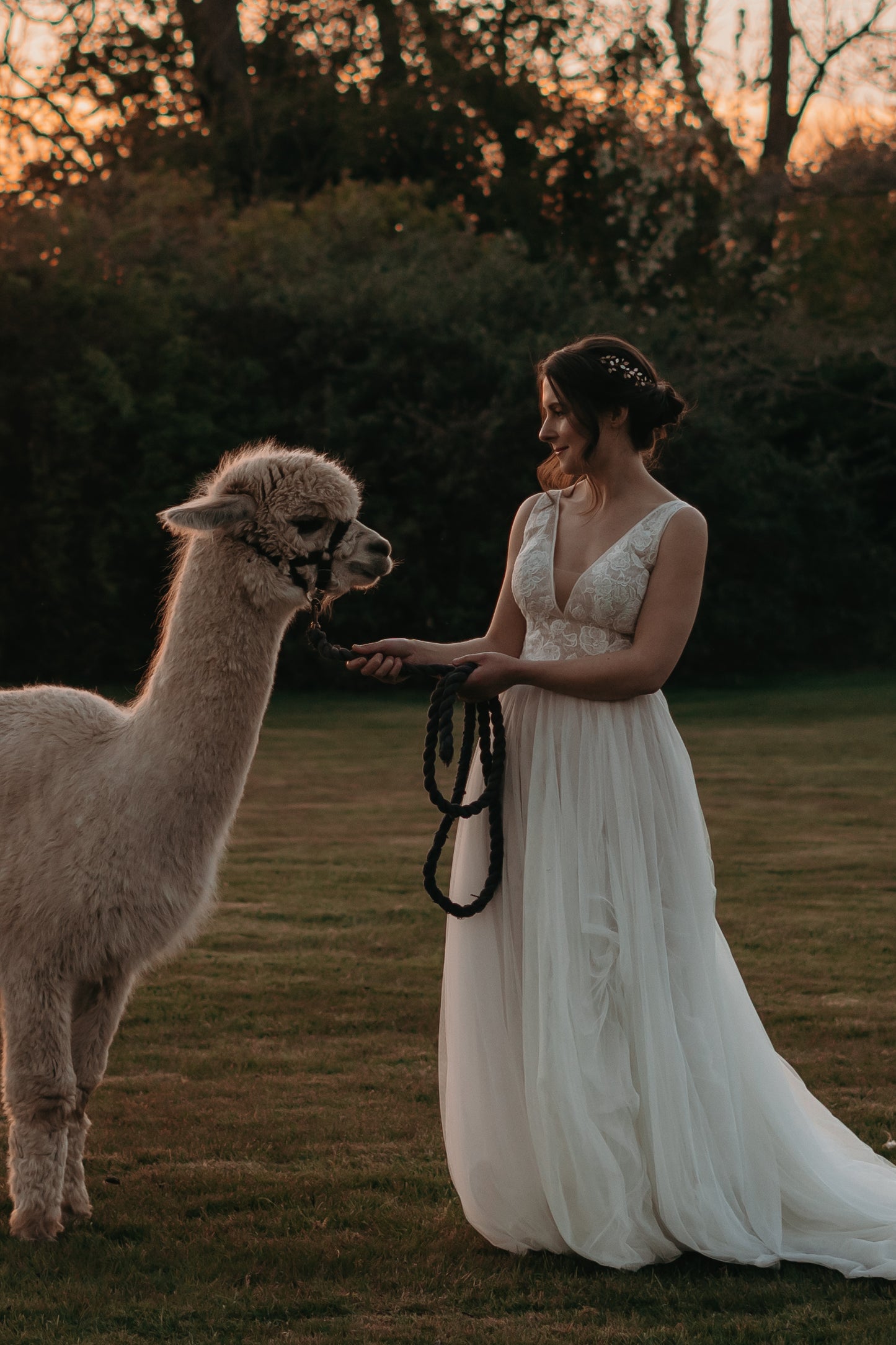 Enchanted Glass Mini-vine